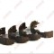 Set saboti frana, frana de mana TOYOTA AVENSIS (T22) (1997 - 2003) ABE C02081ABE