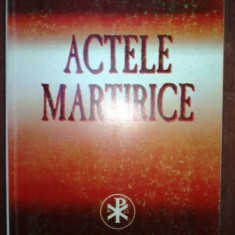 Actele martirice- Parintele Teoctist Ion Ramureanu