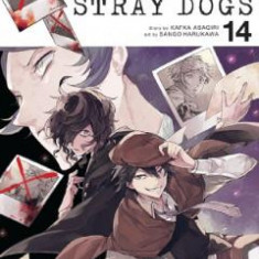 Bungo Stray Dogs Vol.14 - Kafka Asagiri, Sango Harukawa