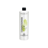 Balsam Iv San Bernard Green Apple, pentru caini si pisici, 500ml
