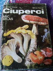 Ciuperci - Eugenia Eliade / ( mic atlas ) foto