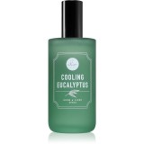 DW Home Cooling Eucalyptus spray pentru camera 120 ml
