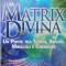 La matrix divina - 2011 - Gregg Braden ($S137)