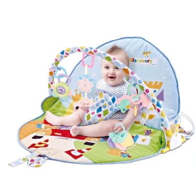 Centru de activitati bebe 2in1 tip scaunel, cu plasa tantari, muzical foto