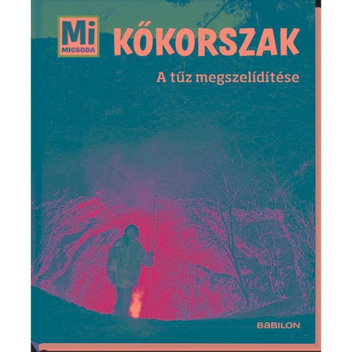 Kőkorszak - A tűz megszel&iacute;d&iacute;t&eacute;se - Mi micsoda - Andrea Schaller
