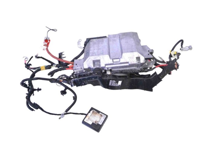 Alt modul de control TESLA MODEL 3 2019 OEM: P1118182-04-H 15305644