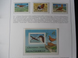 Montserrat-Fauna,pasari-serie completa si bloc-nestampilate, Nestampilat