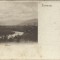 AMS* - CP JAMNA, POLONIA, MUNTII CARPATI, CIRCULATA 1900