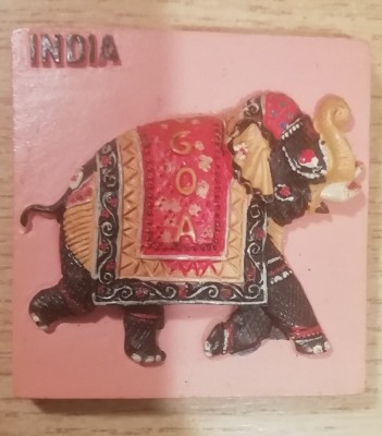 M3 C1 - Magnet frigider - tematica turism - India 2 foto