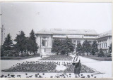 Bnk foto - Ploiesti - Parcul din centru si Palatul Culturii - anii `80, Alb-Negru, Romania de la 1950, Cladiri