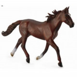 Armasar Standardbred Pacer Castaniu, Collecta