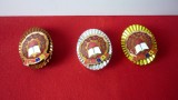 DISTINCTIE MEDALIE FRUNTAS IN INTRECERE (LOT 3 BUC)