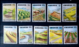 RUANDA 1983 agricultura bovine ferme, serie NESTAMPILATA, Nestampilat
