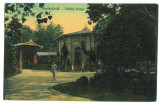 4623 - BUZIAS, Timis, Pavilionul Bailor, Romania - old postcard - used - 1916, Circulata, Printata