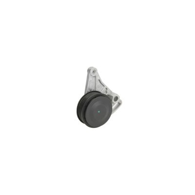 Intinzator curea AUDI A4 8D2 B5 DAYCO APV2038 foto