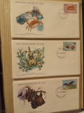 FAUNA WWF - 3 PLICURI PRIMA ZI