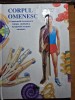 Carte de anatomie - corpul omenesc - o fascinanta incursiune in tainele alcatuirii si functionarii corpului omenesc - din anul 1995 - pagini cartonate