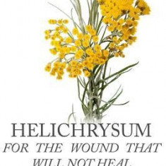 Helichrysum for the Wound That Will Not Heal: The Lost History of Immortelle, the Everlasting Flower, Its Chemistry and Helichrysum Italicum Essential