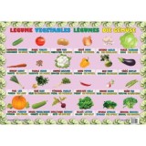 Legume - Plansa educativa - Ars Libri