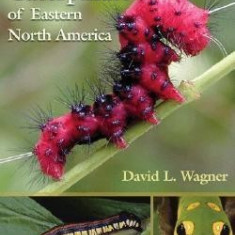 Caterpillars of Eastern North America: A Guide to Identification and Natural History
