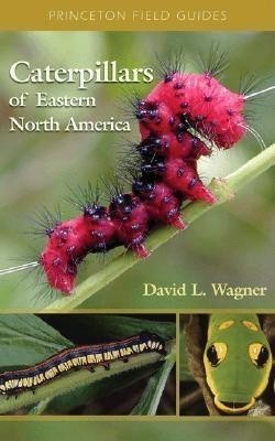 Caterpillars of Eastern North America: A Guide to Identification and Natural History foto