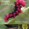 Caterpillars of Eastern North America: A Guide to Identification and Natural History