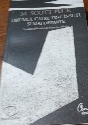 DRUMUL CATRE TINE INSUTI SI MAI DEPARTE M. Scott Peck foto
