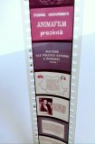 Diafilm - Succese ale politicii externe a RSR