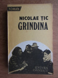 Nicolae Tic - Grindina