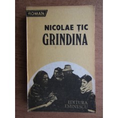 Nicolae Tic - Grindina