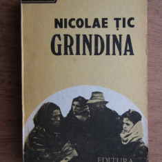 Nicolae Tic - Grindina