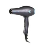 Uscator de par profesional Thin Ionic 2200