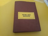 DIAPOZITIVE ANATOMIA UMANA MACROSCOPIE MIRCEA IFRIM 8 FILE,96 BUCATI