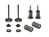 Set supape evacuare Honda CRF 250R 04- 07, CRF 250X 04- 15,TRX 450 R ER 06- 14 XU-09502EK