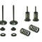 Set supape otel admisie Honda CRF 450 R 02- 08, TRX 450 R ER 06- 14 (include arcuri si talere) XU-09502IK
