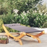 vidaXL Pat de Exterior Antracit 100x188.5x44cm Lemn Masiv Curbat Sezlong Gradina Terasa Relaxare