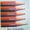 REALITATEA IN AFACERI - UN GHID REALIST DESPRE INTELIGENTA , MANAGEMENT , MARKETING , COMPETITIE de GUY KAWASAKI , 2010
