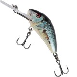 Vobler SALMO Hornet Sinking, Real Dace, 3.5cm, 3.5gr, 1buc/pac