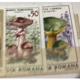 (3) Timbre Serii Romania Ciuperci