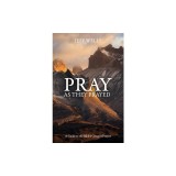 Pray as They Prayed: A Guide to the Bible's Greatest Prayers