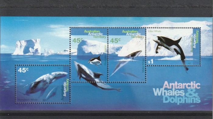 Fauna,cetacee ,,Antartica Australa.