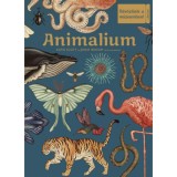 Animalium - &Uuml;dv&ouml;zl&uuml;nk a m&uacute;zeumban! - Jenny Broom