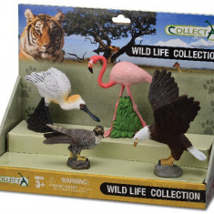 Set 4 buc Animale Salbatice - Collecta