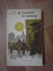 Lumina in amurg - XAVIER DE MONTEPIN foto