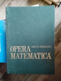 Simion Sanielevici - Opera Matematica