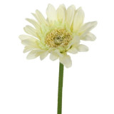 Fir floare gerbera artificiala decorativa,plastic,crem,28 cm, Oem