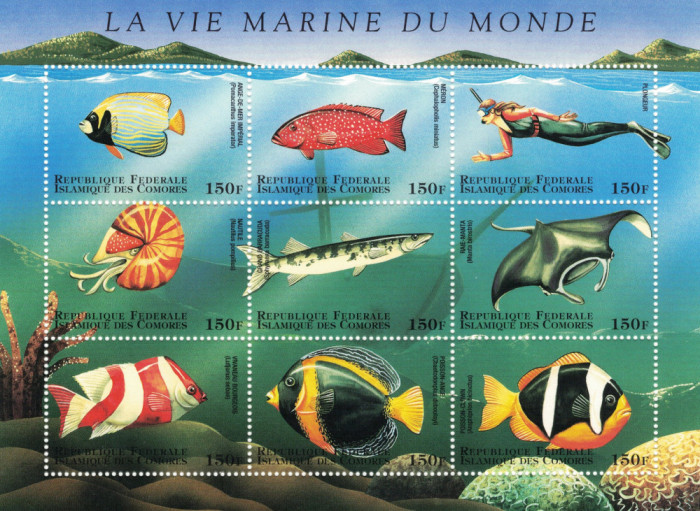COMORE 1998 - Fauna marina [1] / colita MNH
