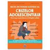 Micul dictionar ilustrat al crizelor adolescentului
