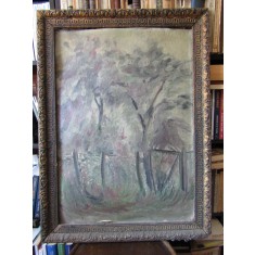 PEISAJ NESEMNAT NECESITA RESTAURARE