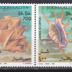 DB1 Fauna Marina Somalia 1994 Scoici 4 v. MNH